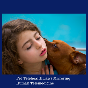 Pet Telehealth Laws Mirroring Human