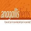 Anagallis Herbs
