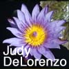 Judy DeLorenzo