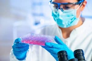 Stem Cell Researcher