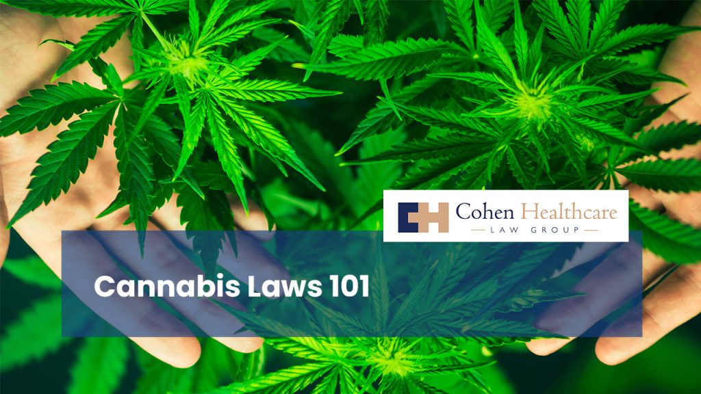 Cannabis Laws 101