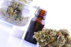 Cannabis