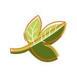 Snohomish Naturopathic Clinic PLLC
